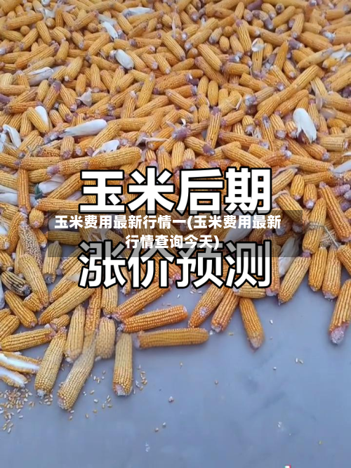 玉米费用最新行情一(玉米费用最新行情查询今天)-第2张图片