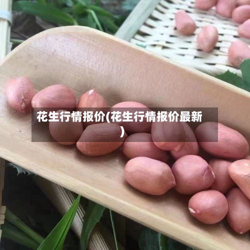 花生行情报价(花生行情报价最新)-第1张图片