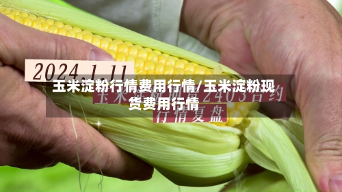 玉米淀粉行情费用行情/玉米淀粉现货费用行情-第1张图片