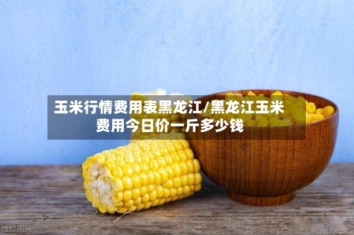 玉米行情费用表黑龙江/黑龙江玉米费用今日价一斤多少钱