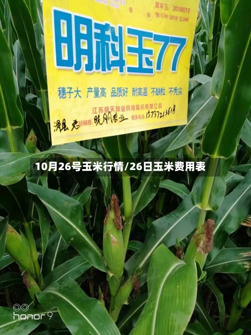 10月26号玉米行情/26日玉米费用表-第1张图片