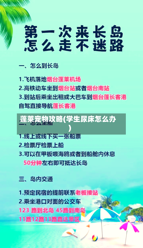 蓬莱宠物攻略(学生尿床怎么办)-第1张图片