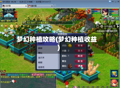 梦幻种植攻略(梦幻种植收益)-第2张图片