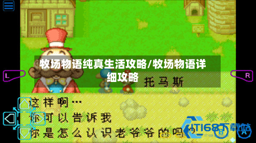 牧场物语纯真生活攻略/牧场物语详细攻略-第1张图片