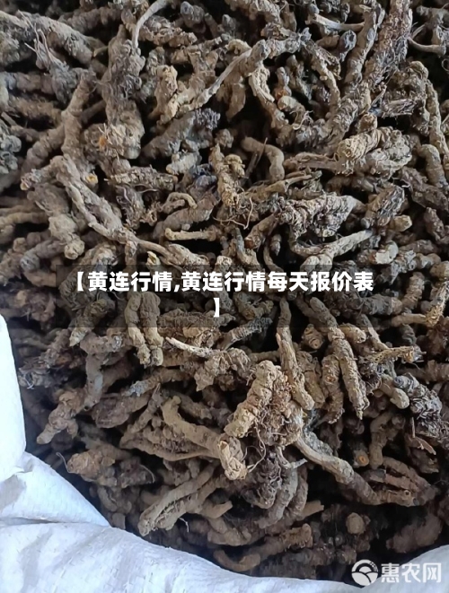 【黄连行情,黄连行情每天报价表】-第1张图片