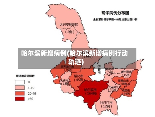 哈尔滨新增病例(哈尔滨新增病例行动轨迹)-第3张图片