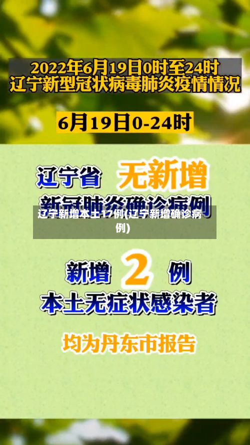 辽宁新增本土17例(辽宁新增确诊病例)-第1张图片