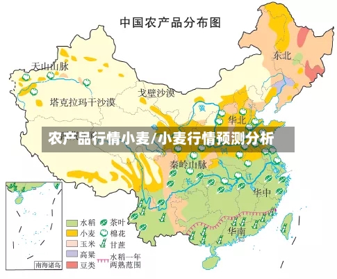 农产品行情小麦/小麦行情预测分析-第1张图片