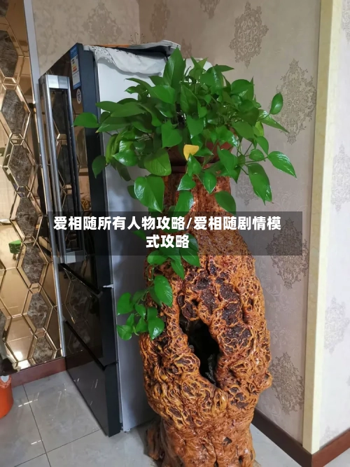 爱相随所有人物攻略/爱相随剧情模式攻略-第1张图片