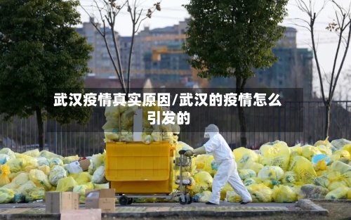武汉疫情真实原因/武汉的疫情怎么引发的-第1张图片