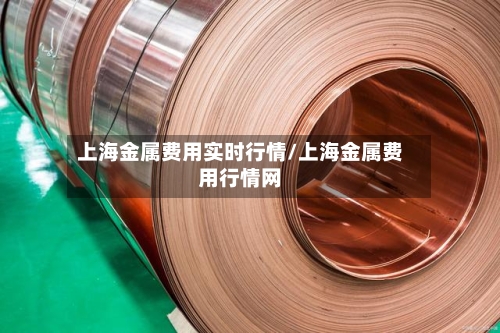 上海金属费用实时行情/上海金属费用行情网-第1张图片
