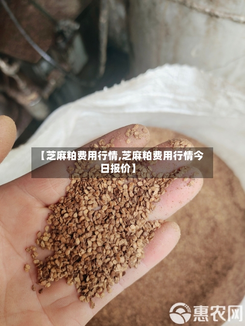 【芝麻粕费用行情,芝麻粕费用行情今日报价】-第3张图片