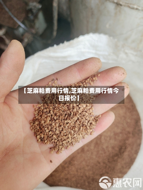 【芝麻粕费用行情,芝麻粕费用行情今日报价】-第1张图片