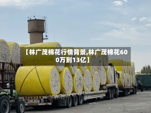 【林广茂棉花行情背景,林广茂棉花600万到13亿】-第1张图片
