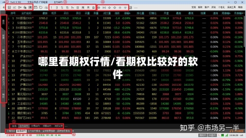 哪里看期权行情/看期权比较好的软件