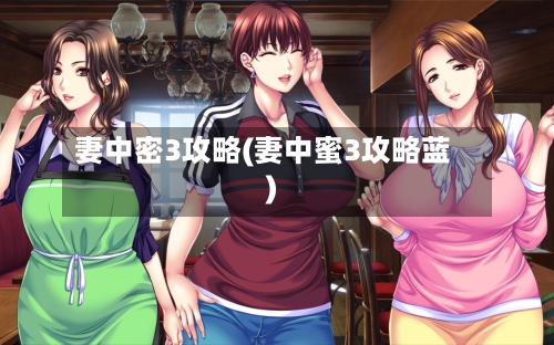妻中密3攻略(妻中蜜3攻略蓝)-第1张图片