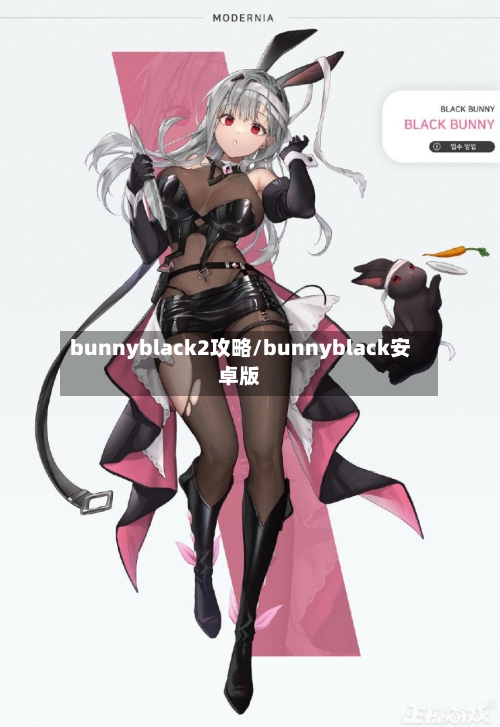bunnyblack2攻略/bunnyblack安卓版-第1张图片