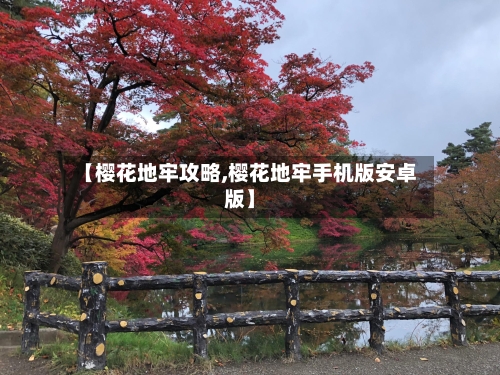 【樱花地牢攻略,樱花地牢手机版安卓版】