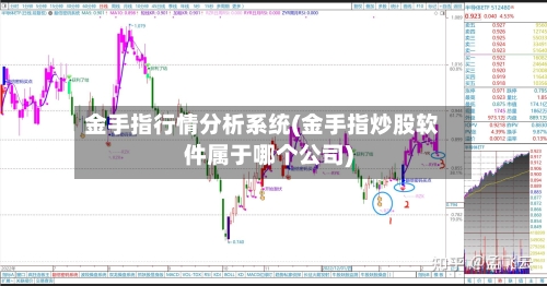 金手指行情分析系统(金手指炒股软件属于哪个公司)-第1张图片