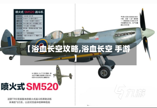 【浴血长空攻略,浴血长空 手游】-第1张图片