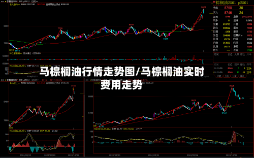 马棕榈油行情走势图/马棕榈油实时费用走势-第1张图片