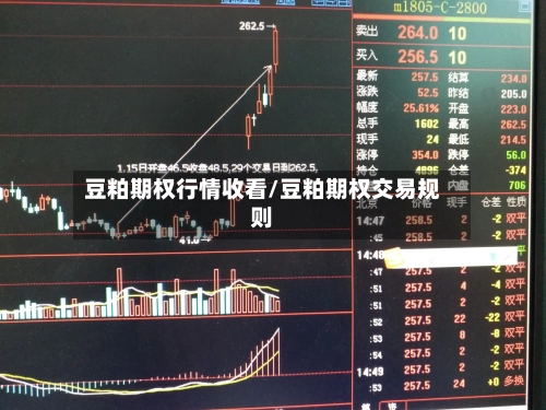 豆粕期权行情收看/豆粕期权交易规则-第2张图片