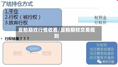 豆粕期权行情收看/豆粕期权交易规则-第1张图片