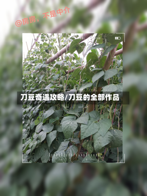 刀豆奇遇攻略/刀豆的全部作品-第2张图片