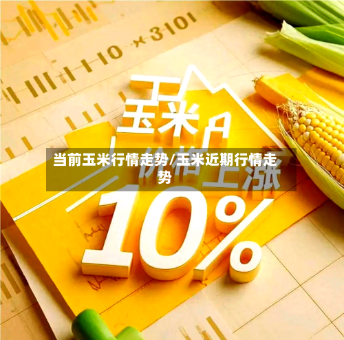 当前玉米行情走势/玉米近期行情走势-第3张图片
