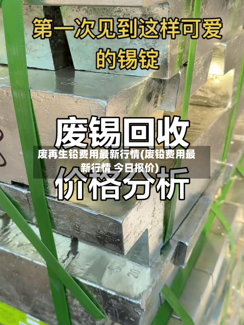 废再生铅费用最新行情(废铅费用最新行情 今日报价)-第1张图片