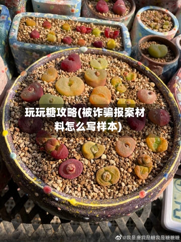 玩玩糖攻略(被诈骗报案材料怎么写样本)