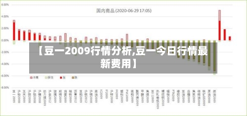 【豆一2009行情分析,豆一今日行情最新费用】-第1张图片