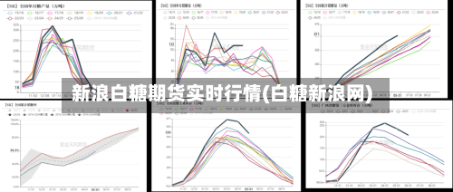 新浪白糖期货实时行情(白糖新浪网)-第1张图片