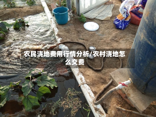 农民浇地费用行情分析/农村浇地怎么交费-第2张图片
