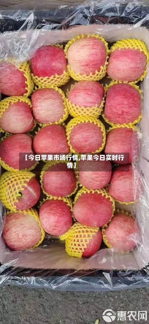 【今日苹果市场行情,苹果今日实时行情】-第1张图片