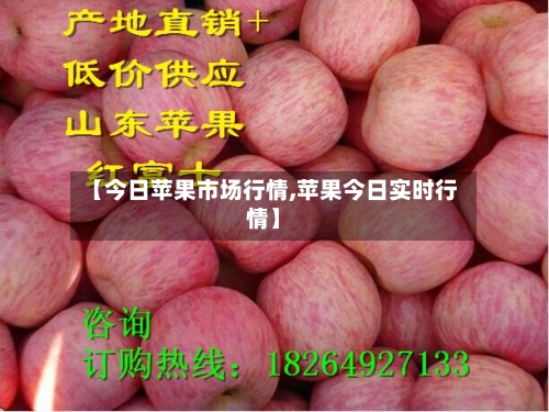 【今日苹果市场行情,苹果今日实时行情】-第2张图片