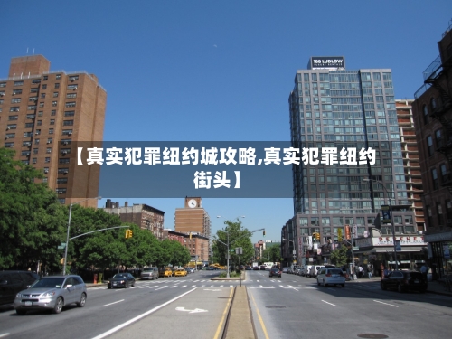 【真实犯罪纽约城攻略,真实犯罪纽约街头】-第1张图片