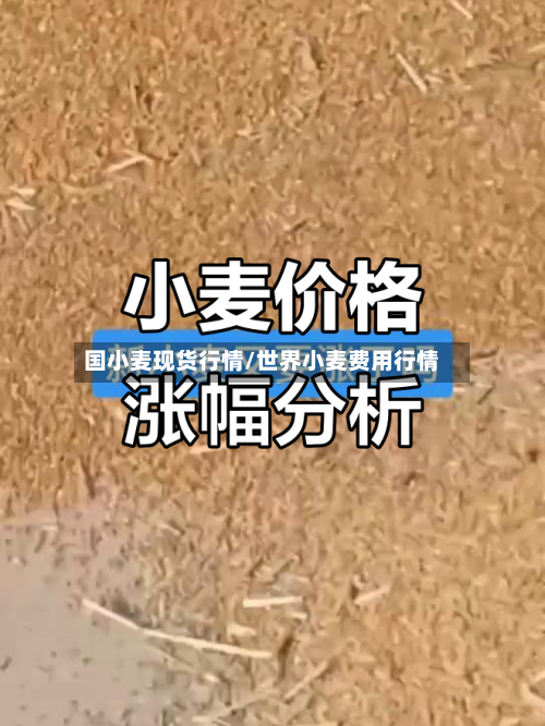国小麦现货行情/世界小麦费用行情-第1张图片