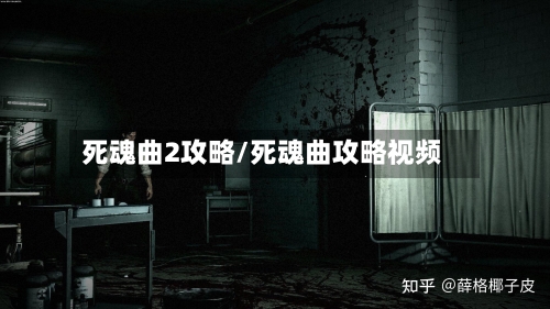 死魂曲2攻略/死魂曲攻略视频-第1张图片