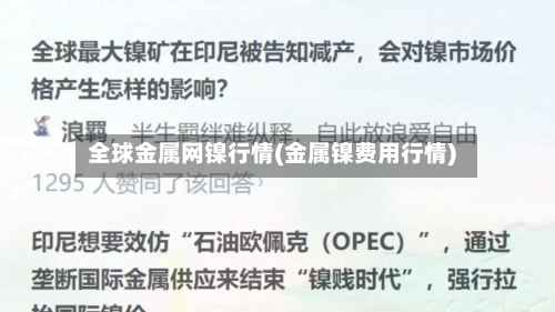 全球金属网镍行情(金属镍费用行情)-第1张图片