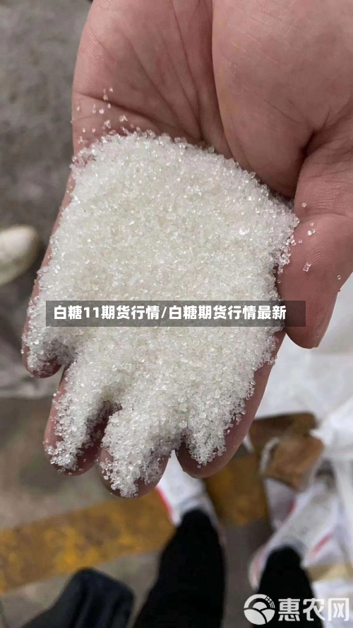 白糖11期货行情/白糖期货行情最新-第2张图片