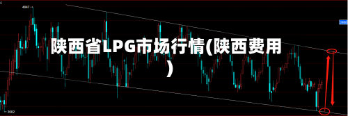 陕西省LPG市场行情(陕西费用)