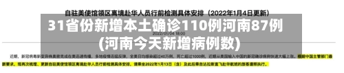 31省份新增本土确诊110例河南87例(河南今天新增病例数)-第2张图片