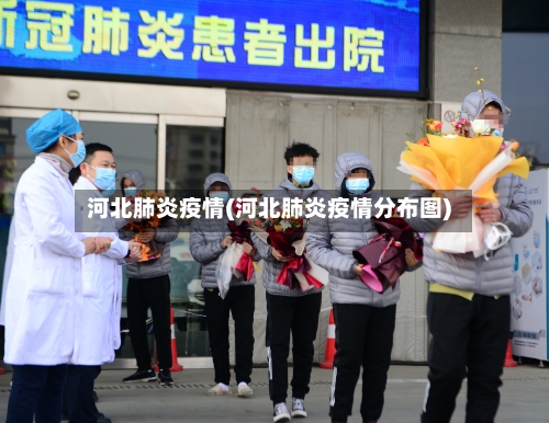 河北肺炎疫情(河北肺炎疫情分布图)