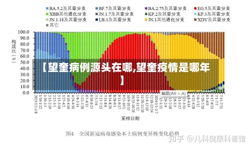 【望奎病例源头在哪,望奎疫情是哪年】-第3张图片