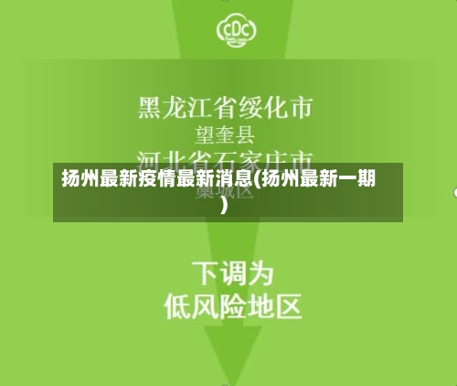 扬州最新疫情最新消息(扬州最新一期)