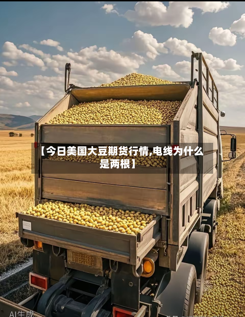 【今日美国大豆期货行情,电线为什么是两根】