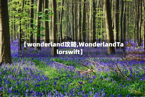 【wonderland攻略,WonderlandTalorswift】-第3张图片