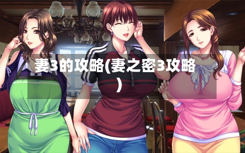 妻3的攻略(妻之密3攻略)-第3张图片
