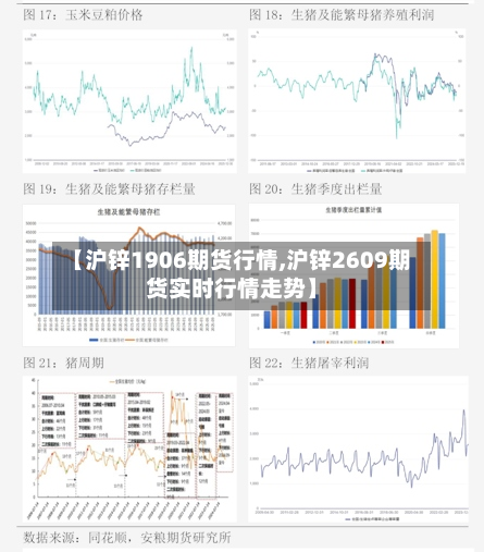 【沪锌1906期货行情,沪锌2609期货实时行情走势】